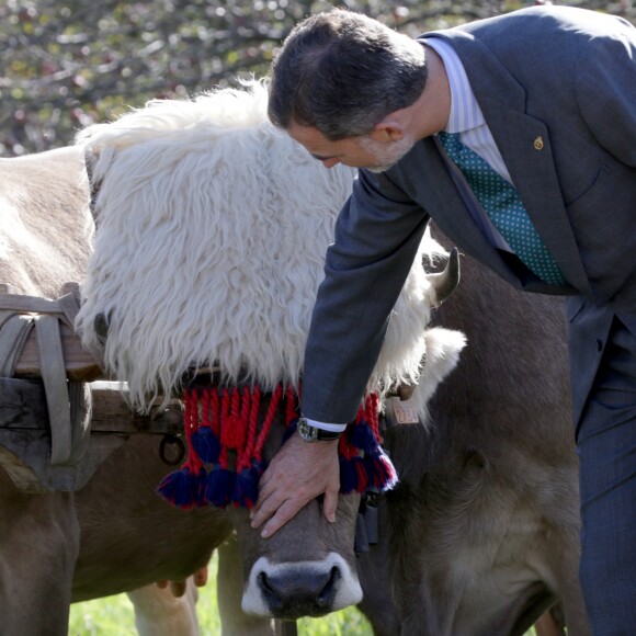 Le roi Felipe VI et la reine Letizia visitent Poreñu, désigné "Village exemplaire des Asturies 2017", le 21 octobre 2017.