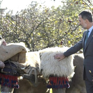 Le roi Felipe VI et la reine Letizia visitent Poreñu, désigné "Village exemplaire des Asturies 2017", le 21 octobre 2017.