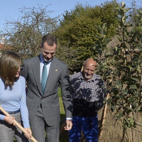 Le roi Felipe VI et la reine Letizia visitent Poreñu, désigné "Village exemplaire des Asturies 2017", le 21 octobre 2017.