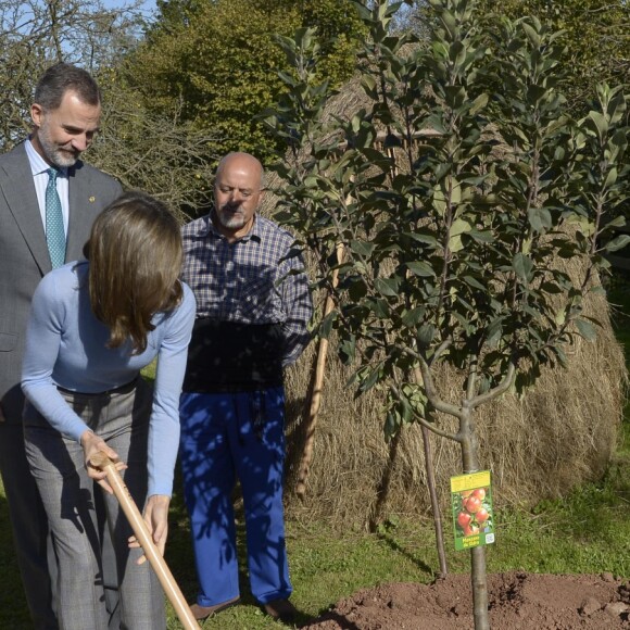 Le roi Felipe VI et la reine Letizia visitent Poreñu, désigné "Village exemplaire des Asturies 2017", le 21 octobre 2017.