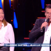 - prime de "Danse avec le stars 8", jeudi 2 novembre 2017, TF1