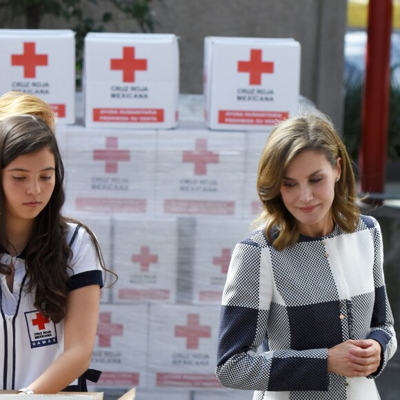 La reine Letizia d'Espagne rencontrant des membres de la Croix-Rouge mexicaine à Mexico, le 13 novembre 2017, en marge de sa visite à l'occasion du World Cancer Leaders' Summit.