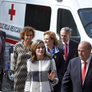 La reine Letizia d'Espagne rencontrant des membres de la Croix-Rouge mexicaine à Mexico, le 13 novembre 2017, en marge de sa visite à l'occasion du World Cancer Leaders' Summit.