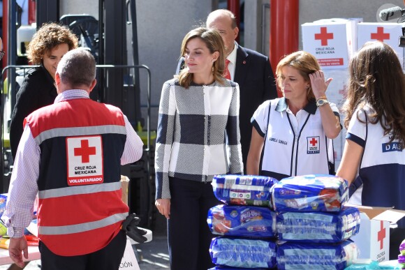 La reine Letizia d'Espagne rencontrant des membres de la Croix-Rouge mexicaine à Mexico, le 13 novembre 2017, en marge de sa visite à l'occasion du World Cancer Leaders' Summit.