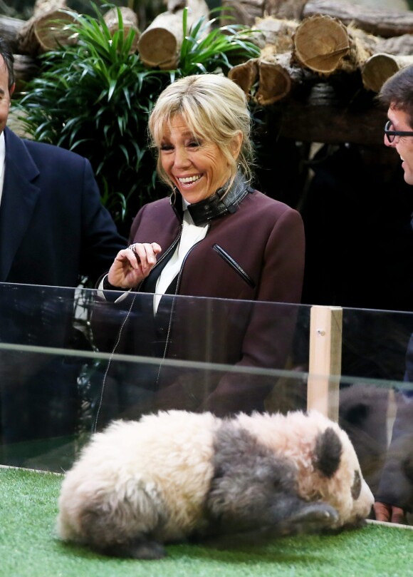 La première dame Brigitte Macron à la cérémonie de baptême du bébé panda "Yuan Meng" au zoo de Beauval à Saint-Aignan sur Cher le 4 décembre 2017. © Dominique Jacovides / Sébastien Valiela / Bestimage