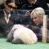 Francoise Delord, fondatrice du zoo de Beauval et la première dame Brigitte Macron à la cérémonie de baptême du bébé panda "Yuan Meng" au zoo de Beauval à Saint-Aignan sur Cher le 4 décembre 2017. © Dominique Jacovides / Sébastien Valiela / Bestimage