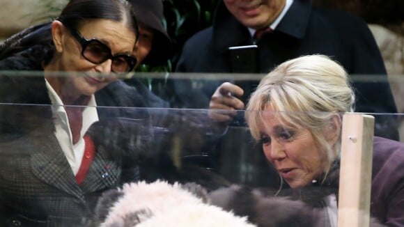Brigitte Macron émue : Radieuse devant un bébé panda aussi mignon que farouche