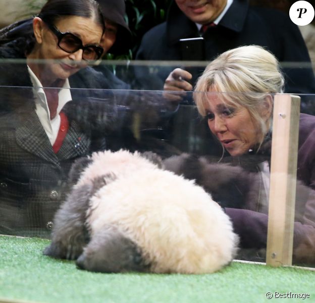 Brigitte Macron Emue Radieuse Devant Un Bebe Panda Aussi Mignon Que Farouche Purepeople