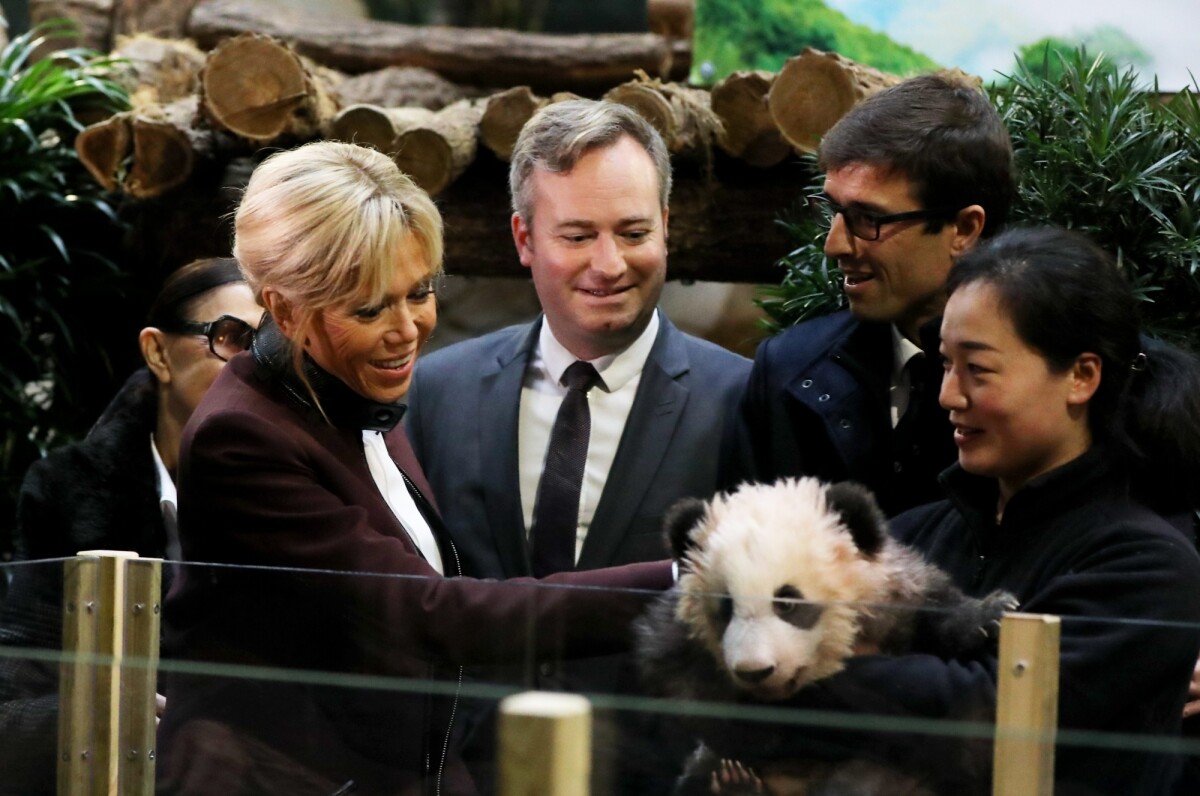 Photo : Francoise Delord, Fondatrice Du Zoo De Beauval, Jean-Baptiste ...