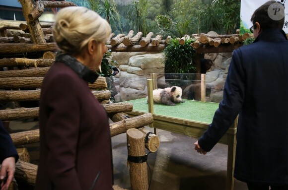 La première dame Brigitte Macron à la cérémonie de baptême du bébé panda "Yuan Meng" au zoo de Beauval à Saint-Aignan sur Cher le 4 décembre 2017. © Dominique Jacovides / Sébastien Valiela / Bestimage