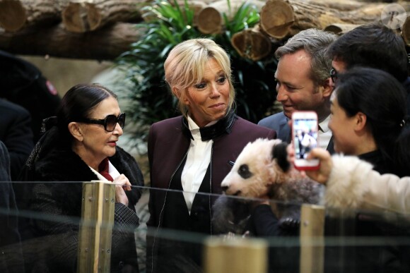 Francoise Delord, fondatrice du zoo de Beauval, Jean-Baptiste Lemoyne, secrétaire d'état auprès du ministre de l’Europe et des affaires étrangères, Rodolphe Delord, directeur du zoo de Beauval et la première dame Brigitte Macron à la cérémonie de baptême du bébé panda "Yuan Meng" au zoo de Beauval à Saint-Aignan sur Cher le 4 décembre 2017. © Dominique Jacovides / Sébastien Valiela / Bestimage