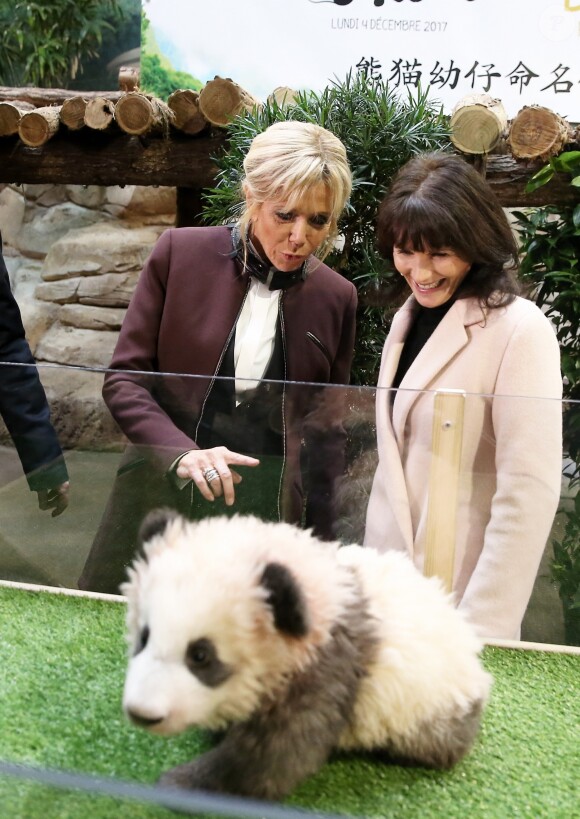 La première dame Brigitte Macron à la cérémonie de baptême du bébé panda "Yuan Meng" au zoo de Beauval à Saint-Aignan sur Cher le 4 décembre 2017. © Dominique Jacovides / Sébastien Valiela / Bestimage