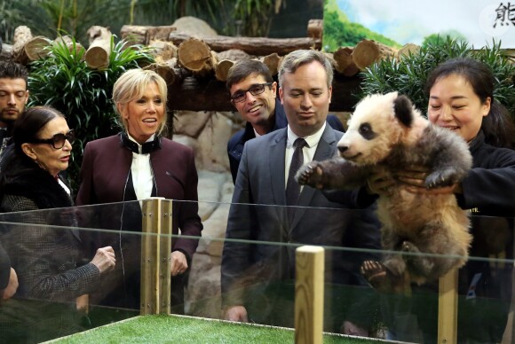 Francoise Delord, fondatrice du zoo de Beauval, Rodolphe Delord, directeur du zoo de Beauval, Jean-Baptiste Lemoyne, secrétaire d'état auprès du ministre de l’Europe et des affaires étrangères et la première dame Brigitte Macron à la cérémonie de baptême du bébé panda "Yuan Meng" au zoo de Beauval à Saint-Aignan sur Cher le 4 décembre 2017. © Dominique Jacovides / Sébastien Valiela / Bestimage