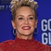 Sharon Stone - Les célébrités arrivent à la soirée des nominations des Golden Globe Awards à Beverly Hills le 11 decembre 2017. © Chris Delmas / Bestimage