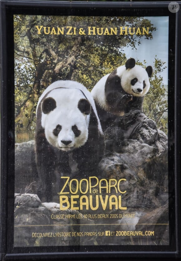 Illustration ZooParc de Beauval - Le couple présidentiel est arrivé vendredi 15 décembre 2017 au Château de Chambord (Loir-et-Cher). Accompagnés de leur famille, Emmanuel et Brigitte Macron ont eu le droit à une visite privée du domaine avant de savourer un dîner organisé en marge d'une chasse "une battue de régulation des sangliers", qui était organisée ce même jour par l'Office national de la chasse et de la faune sauvage. L'homme politique s'est également entretenu avec les présidents des fédérations départementales des chasseurs. Samedi après-midi (le 16 décembre 2017), le président de la République et sa femme sont allés au ZooParc de Beauval pour saluer Yuan Meng, bébé panda baptisé en début de mois par la première dame, marraine de l'animal. Les enfants de Brigitte Macron (Laurence, cardiologue de 40 ans, Tiphaine, avocate de 33 ans et Sébastien, ingénieur de 42 ans) leurs gendres et belle-fille ainsi que tous les petits-enfants (7) étaient de la partie. Ce week-end familial était l'occasion de célébrer Noël en famille avec un peu d'avance. Le couple présidentiel a résidé à la Maison des Refractaires, une ancienne maison forestière située "au coeur du domaine royal, à quelques mètres du château.16/12/2017 - 