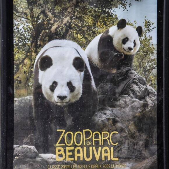 Illustration ZooParc de Beauval - Le couple présidentiel est arrivé vendredi 15 décembre 2017 au Château de Chambord (Loir-et-Cher). Accompagnés de leur famille, Emmanuel et Brigitte Macron ont eu le droit à une visite privée du domaine avant de savourer un dîner organisé en marge d'une chasse "une battue de régulation des sangliers", qui était organisée ce même jour par l'Office national de la chasse et de la faune sauvage. L'homme politique s'est également entretenu avec les présidents des fédérations départementales des chasseurs. Samedi après-midi (le 16 décembre 2017), le président de la République et sa femme sont allés au ZooParc de Beauval pour saluer Yuan Meng, bébé panda baptisé en début de mois par la première dame, marraine de l'animal. Les enfants de Brigitte Macron (Laurence, cardiologue de 40 ans, Tiphaine, avocate de 33 ans et Sébastien, ingénieur de 42 ans) leurs gendres et belle-fille ainsi que tous les petits-enfants (7) étaient de la partie. Ce week-end familial était l'occasion de célébrer Noël en famille avec un peu d'avance. Le couple présidentiel a résidé à la Maison des Refractaires, une ancienne maison forestière située "au coeur du domaine royal, à quelques mètres du château.16/12/2017 - 