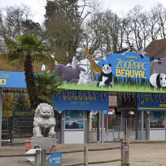 Illustration ZooParc de Beauval - Le couple présidentiel est arrivé vendredi 15 décembre 2017 au Château de Chambord (Loir-et-Cher). Accompagnés de leur famille, Emmanuel et Brigitte Macron ont eu le droit à une visite privée du domaine avant de savourer un dîner organisé en marge d'une chasse "une battue de régulation des sangliers", qui était organisée ce même jour par l'Office national de la chasse et de la faune sauvage. L'homme politique s'est également entretenu avec les présidents des fédérations départementales des chasseurs. Samedi après-midi (le 16 décembre 2017), le président de la République et sa femme sont allés au ZooParc de Beauval pour saluer Yuan Meng, bébé panda baptisé en début de mois par la première dame, marraine de l'animal. Les enfants de Brigitte Macron (Laurence, cardiologue de 40 ans, Tiphaine, avocate de 33 ans et Sébastien, ingénieur de 42 ans) leurs gendres et belle-fille ainsi que tous les petits-enfants (7) étaient de la partie. Ce week-end familial était l'occasion de célébrer Noël en famille avec un peu d'avance. Le couple présidentiel a résidé à la Maison des Refractaires, une ancienne maison forestière située "au coeur du domaine royal, à quelques mètres du château.16/12/2017 - 