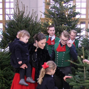 La princesse Victoria de Suède avec ses enfants la princesse Estelle et le prince Oscar lors de la réception des sapins de Noël destinés au palais royal, à Stockholm, le 14 décembre 2017.