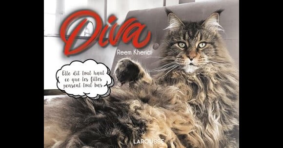 Le livre Diva de Reem Kherici (éditions Larousse)