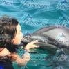 La fille d'Axelle Laffont nage avec un dauphin - Instagram, 4 janvier 2018