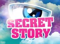 Les Mystères de l'amour : Une candidate de Secret Story 11 au casting