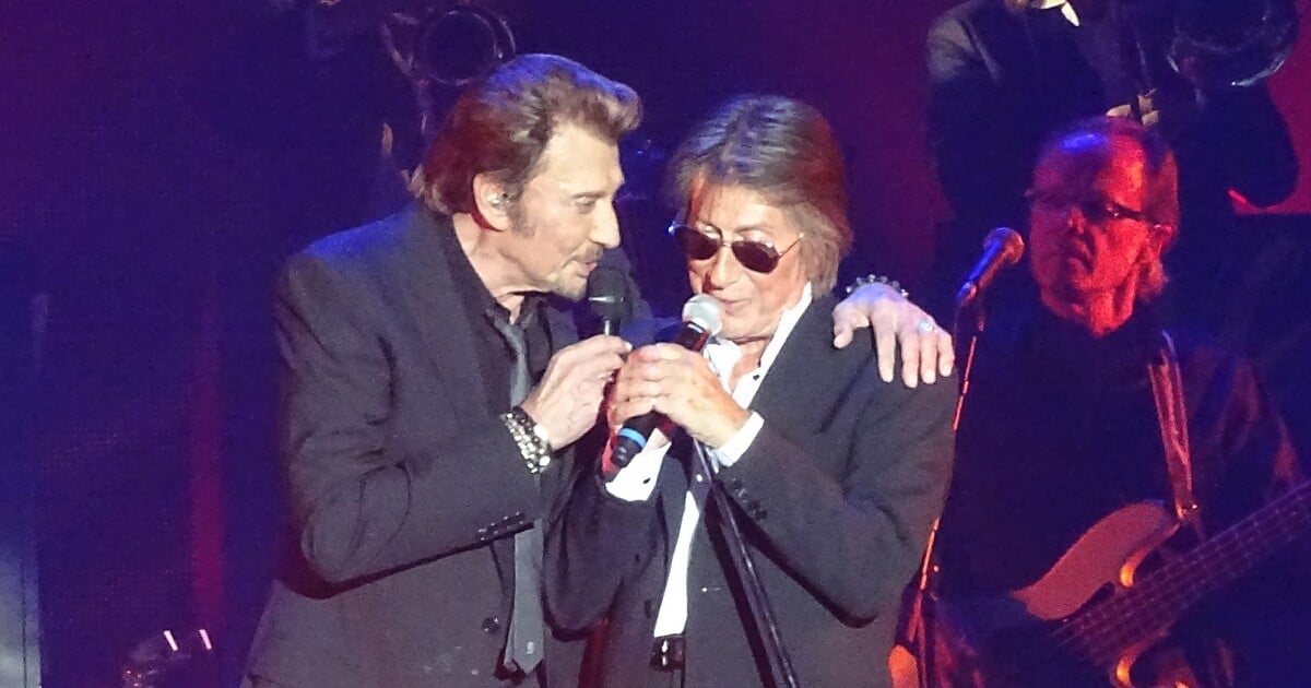 Héritage de Johnny Hallyday : L'avis tranché de Jacques Dutronc - Purepeople