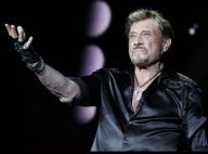 Héritage de Johnny Hallyday : Audience reportée, Laura et David entendus