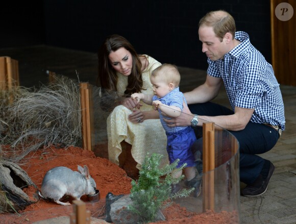 Le prince William, Kate Middleton et leur fils le prince George visitent le zoo Taronga à Sydney, lors de leur visite officielle en Australie en avril 2014.