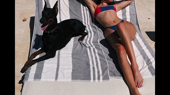 Kendall Jenner : Son chien mord une petite fille, elle prend la fuite