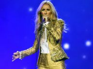 Céline Dion : Sexy en jupe et bas résille troué, la star s'improvise couturière