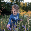 La princesse Estelle de Suède cueille des fleurs lors de ses vacances en famille au cours de l'été 2018, photo Instagram de la princesse héritière Victoria de Suède.
