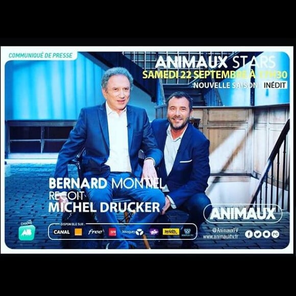 Bernard Montiel de retour sur Animaux TV avec son émission "Animaux Stars" le 22 septembre 2018 avec comme invité Michel Drucker.