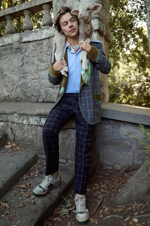Harry Styles, visage de la nouvelle campagne Gucci Tailoring de Gucci. Photo par Glen Luchford.