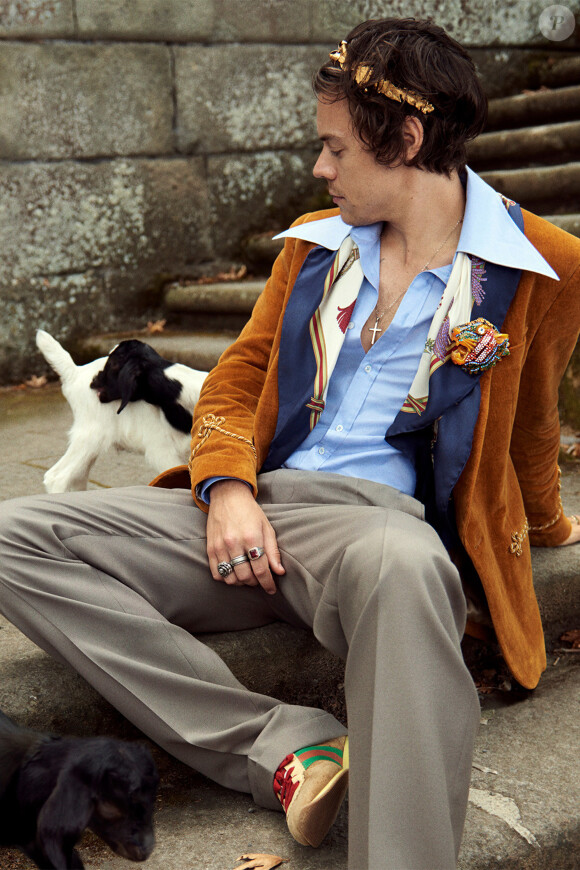 Harry Styles, visage de la nouvelle campagne Gucci Tailoring de Gucci. Photo par Glen Luchford.