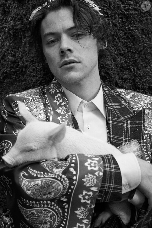 Harry Styles, visage de la nouvelle campagne Gucci Tailoring de Gucci. Photo par Glen Luchford.