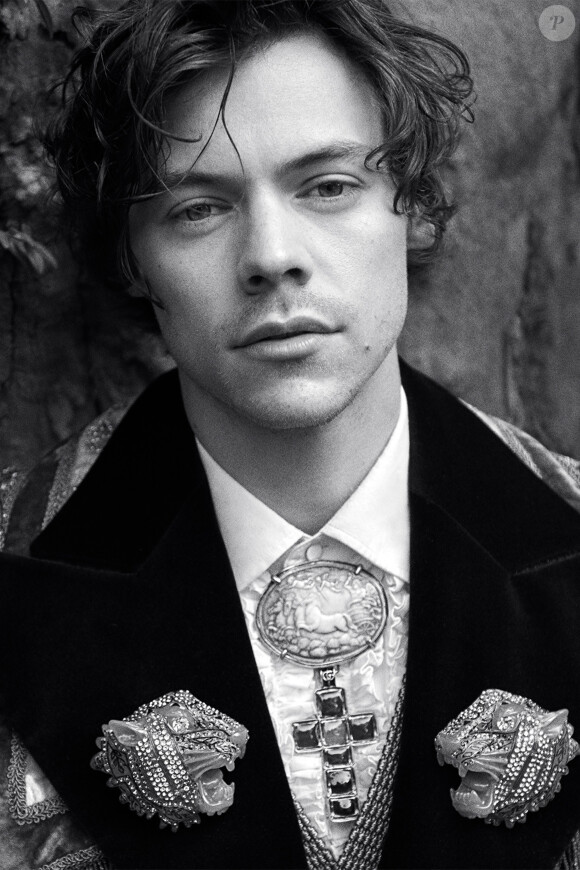 Harry Styles, visage de la nouvelle campagne Gucci Tailoring de Gucci. Photo par Glen Luchford.