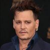 Johnny Depp à la première de "Alice de l'autre côté du miroir" au théâtre El Capitan à Los Angeles le 23 mai 2016.
