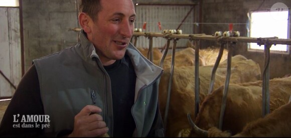 Thierry, éleveur de vaches laitières - Extrait de l'émission "L'amour est dans le pré" diffusé lundi 15 octobre 2018 - M6