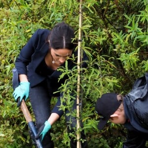 Le prince Harry, duc de Sussex, et Meghan Markle, duchesse de Sussex, assistent à l'inauguration d'un site de 20 hectares pour The Queen's Commonwealth Canopy à Auckland, Nouvelle-Zélande, le 30 octobre 2018. Après avoir dévoilé la plaque, ils ont participé à un lancé de bottes avec des écoliers de la région.