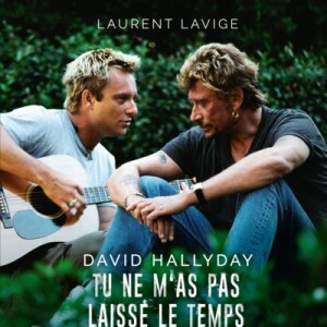 Tu ne m'as pas laissé le temps, de Laurent Lavige