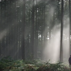 Clip de David Hallyday, "Ma dernière lettre", réalisé par Laura Smet et publié le 13 novembre 2018