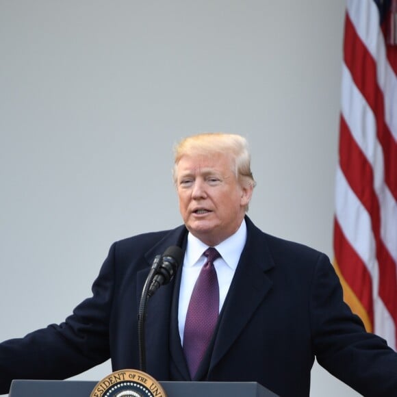 Le président des Etats-Unis, Donald Trump, gracie la dinde "Peas" (petits pois) lors de la traditionnelle cérémonie de Thanksgiving à la Maison Blanche, le 20 novembre 2018