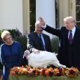 Le président des Etats-Unis, Donald Trump, gracie la dinde "Peas" (petits pois) lors de la traditionnelle cérémonie de Thanksgiving à la Maison Blanche, le 20 novembre 2018
