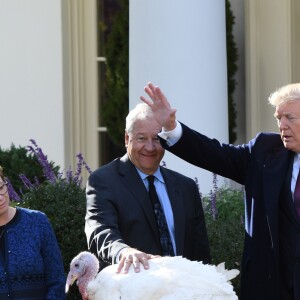 Le président des Etats-Unis, Donald Trump, gracie la dinde "Peas" (petits pois) lors de la traditionnelle cérémonie de Thanksgiving à la Maison Blanche, le 20 novembre 2018