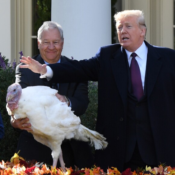 Le président des Etats-Unis, Donald Trump, gracie la dinde "Peas" (petits pois) lors de la traditionnelle cérémonie de Thanksgiving à la Maison Blanche, le 20 novembre 2018