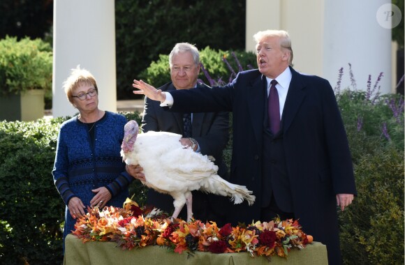 Donald Trump lance les festivités de Thanksgiving à la Maison-Blanche, le 20 novembre 2018.