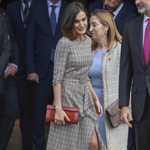 La reine Letizia d'Espagne portait une robe à carreaux Pedro Del Hierro le 19 novembre 2018 pour célébrer avec le roi Felipe VI le bicentenaire du musée du Prado, à Madrid, et inaugurer l'exposition événement créée pour l'occasion.