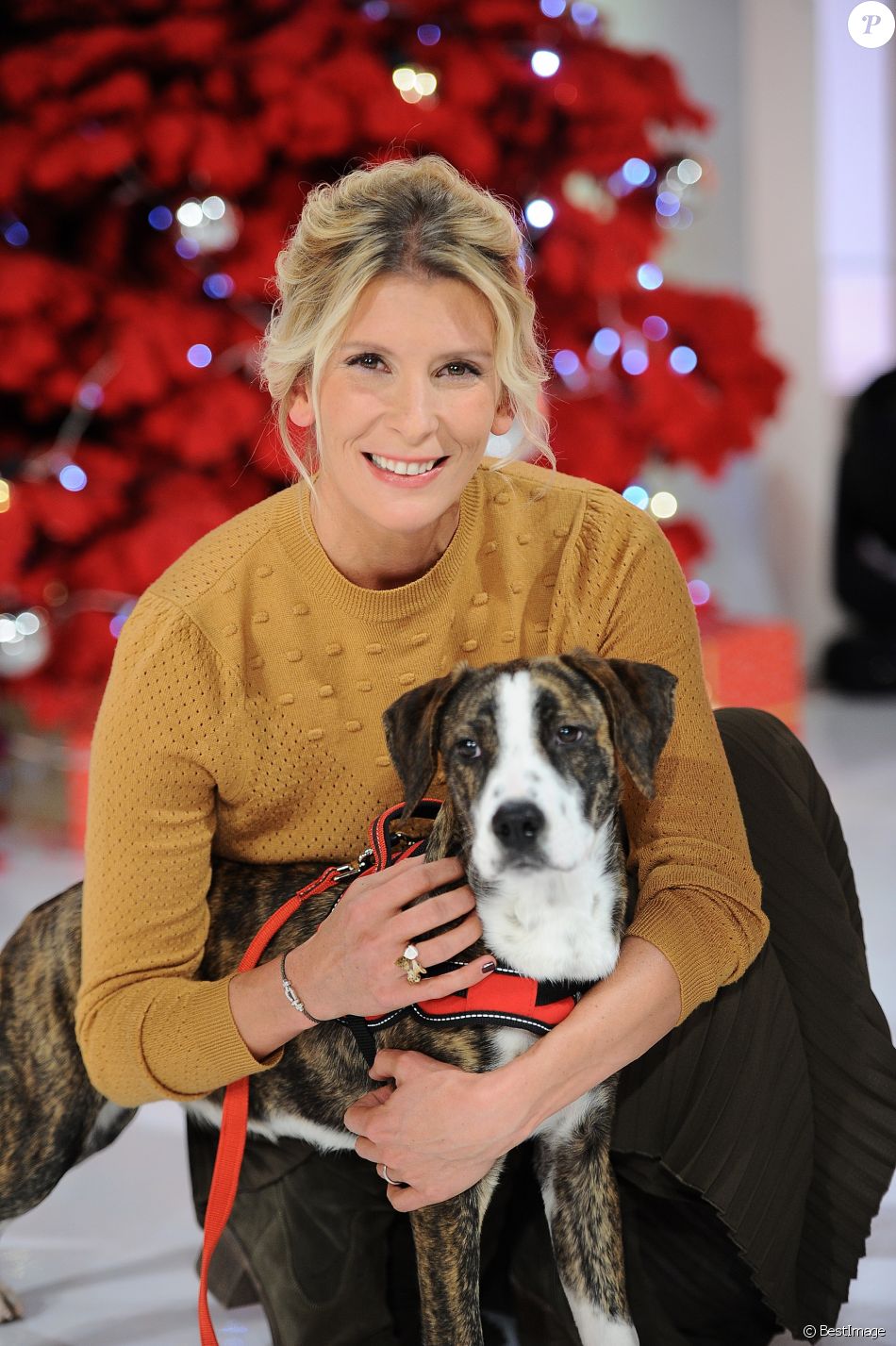 Exclusif Helene Gateau Et Un Chien Lors De L Enregistrement De L Emission Vivement Dimanche Au Studio Gabriel A Paris Diffusee Le 2 Decembre Sur France 2 Le Purepeople
