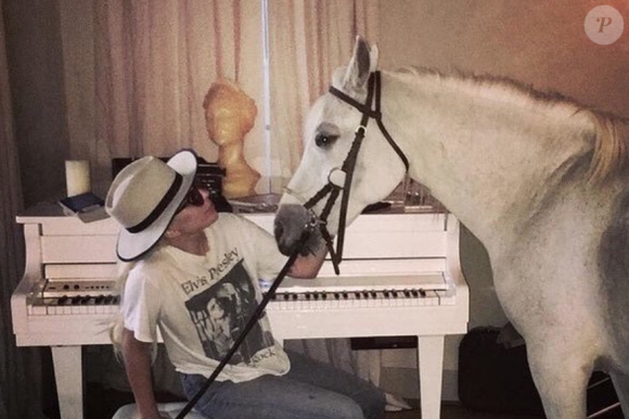 Lady Gaga et sa jument Arabella. Le 13 janvier 2019, après la cérémonie des Critics' Choice Awards, la chanteuse a appris que son cheval allait mourir.