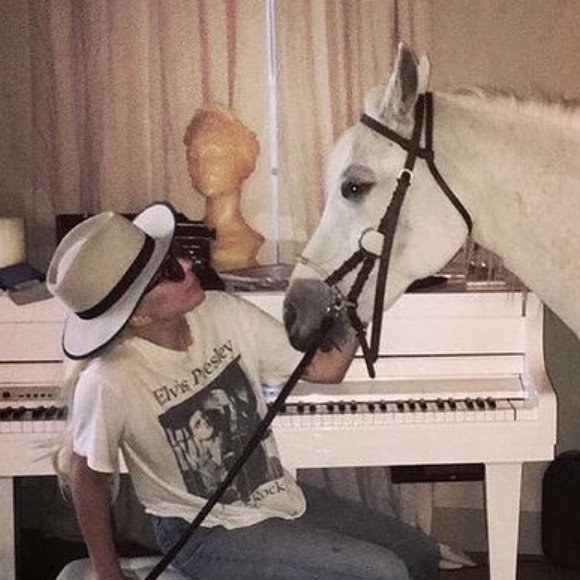 Lady Gaga et sa jument Arabella. Le 13 janvier 2019, après la cérémonie des Critics' Choice Awards, la chanteuse a appris que son cheval allait mourir.